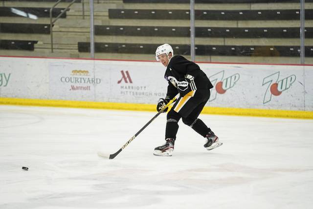 3801225_web1_gtr-Penguins13-030421