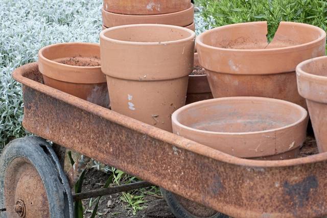 3801187_web1_gtr-containergardens1