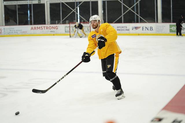 3813141_web1_gtr-Penguins16-030421
