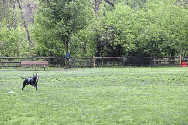 3818356_web1_php-LO-coverdog02-051321