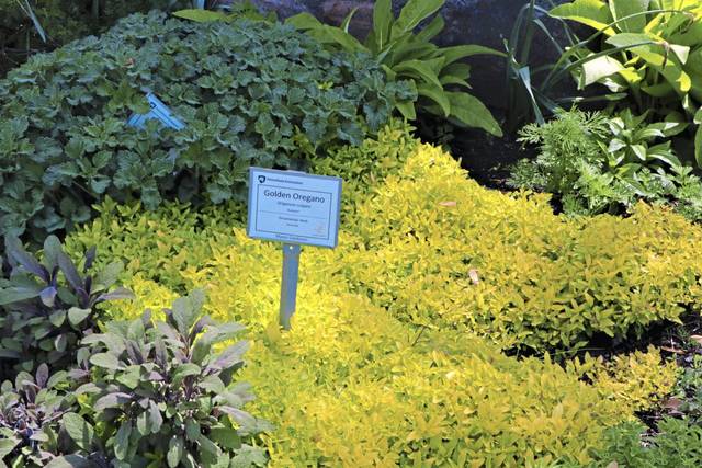 3826588_web1_nj-MasterGardeners5-052021