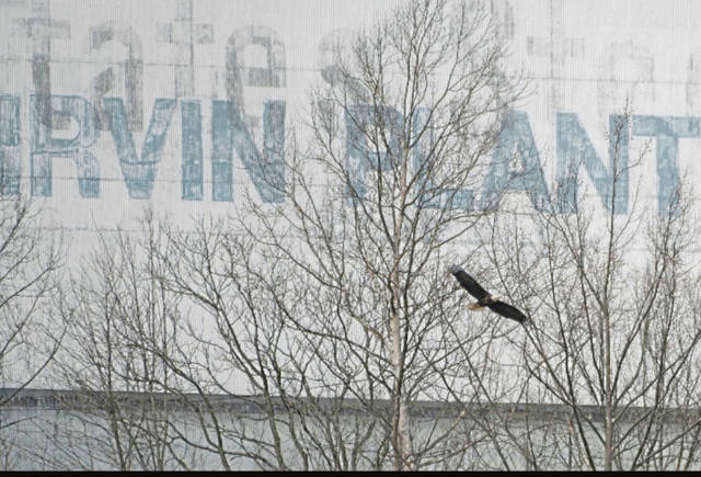3827066_web1_vnd-SteelMillEagle2-031421
