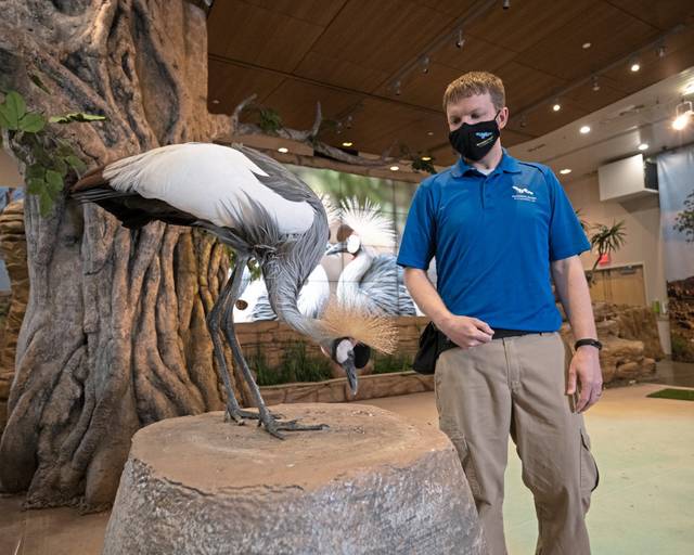 3862871_web1_Partner_Crane_Av