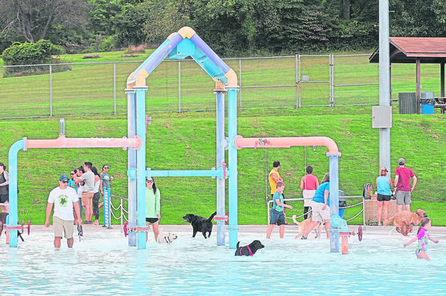 3869406_web1_hj-lo-dogswim2-091919