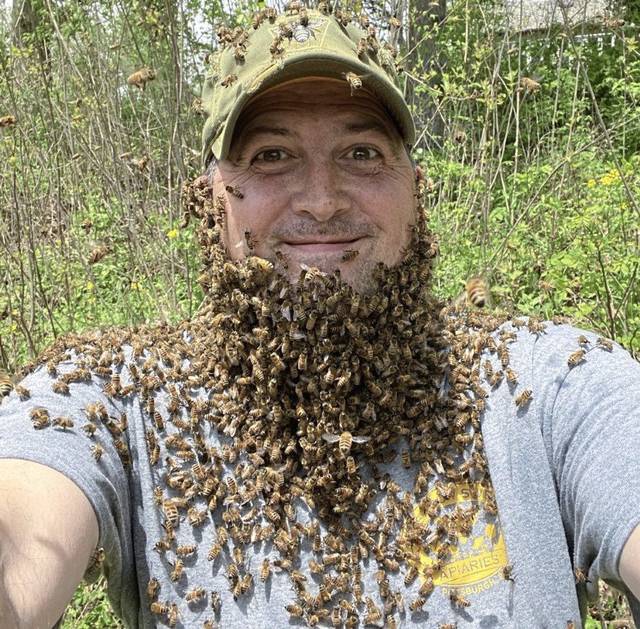 3872778_web1_vnd-worldBeeDay-052121