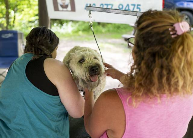 3875742_web1_her-lo-houndhike004-060321 3875742_web1_her-lo-houndhike004-060321