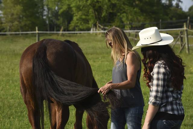 3879520_web1_vnd-horsetherapy004-052321