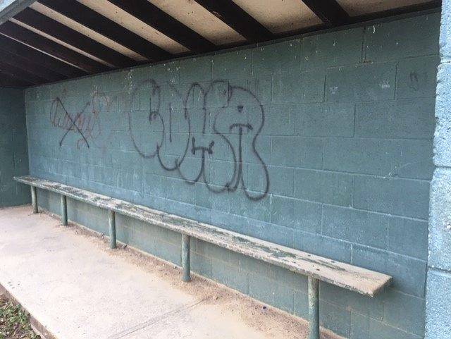 3887068_web1_gtr-LevelGreenPark20210527_0309