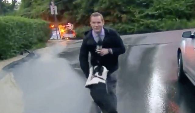 3894940_web1_ptr-HoldenDog-052821