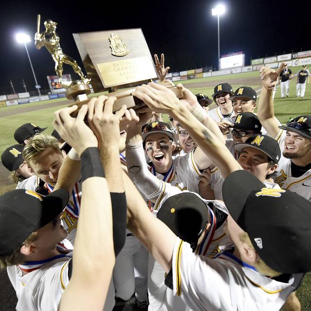 North Allegheny ace shuts down Hempfield, leads Tigers to record 8th WPIAL title