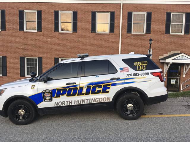 3929341_web1_gtr-ns-NHcops-041819