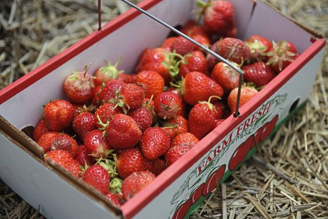 3935325_web1_web-strawberries-file