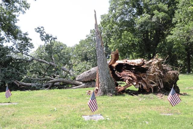 3951574_web1_nj-NorthStorms6-062421