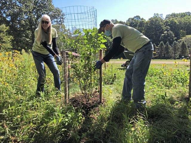 3964634_web1_php-volunteerneighborspotlight4-070121