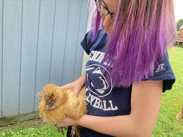 4006749_web1_vnd-chickenPets-070321