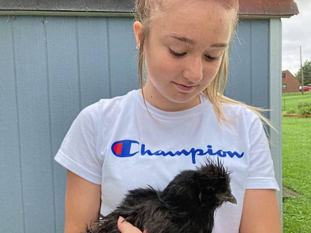 4006749_web1_vnd-chickenPets2-070321
