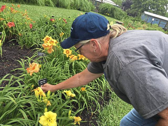 4009960_web1_gtr-DemoGarden2-070421