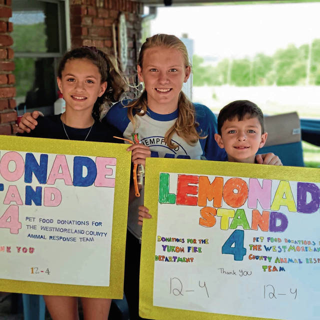 4018265_web1_gtr-lemonade02-070721