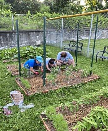 4035058_web1_her-blawgarden2-072221