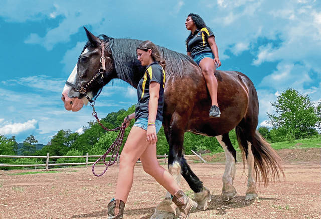 4035260_web1_vnd-SteelCityVaulters-071321-5