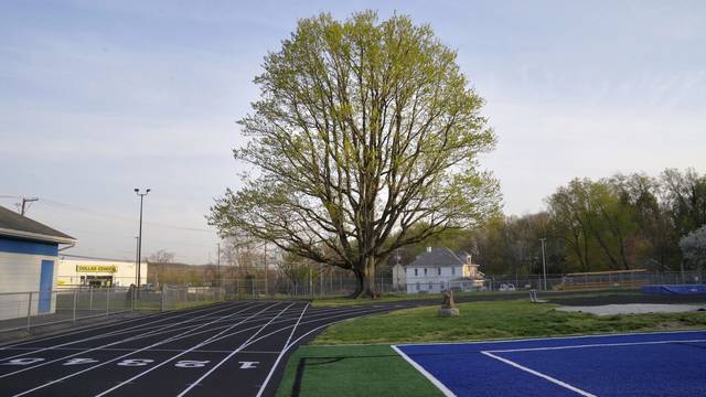 The great race: John Woodruff’s gold-medal run in 1936 set stage for equality in sports<span class="headline-video">Video <i class="fa-solid fa-circle-play"></i></span>