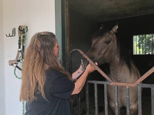 4062393_web1_sew-longhornfarm-080521