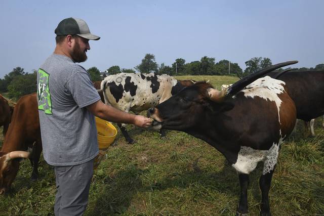 4062393_web1_sew-longhornfarm002-072921