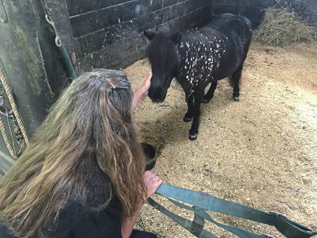 4062393_web1_sew-longhornfarm2-080521