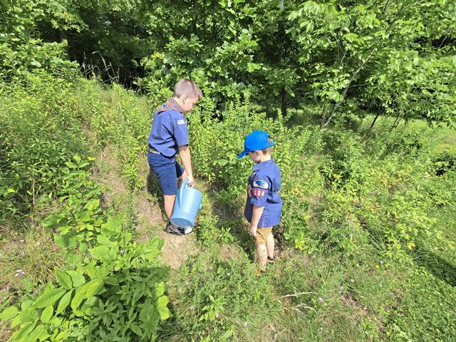 4087157_web1_te-cubscoutproject3-080521