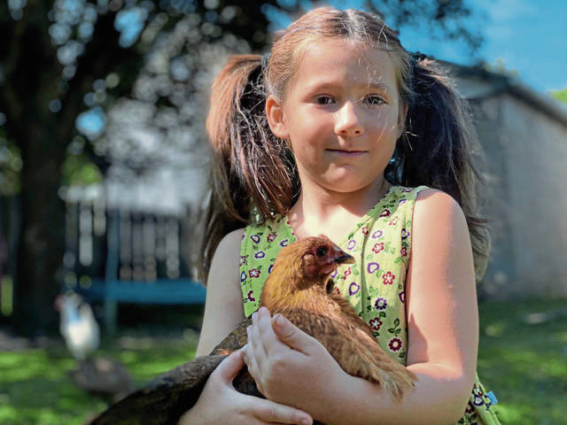 4104185_web1_vnd-NewChickenCouncil-080421