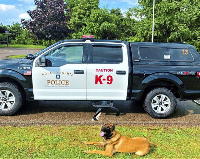 4104939-web1-nj-rossnewk9-2-081221