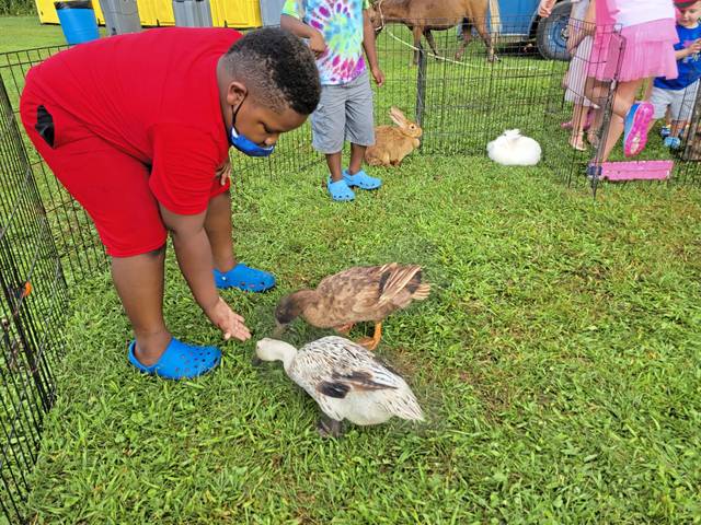 4120190_web1_php-summerfest3-081921