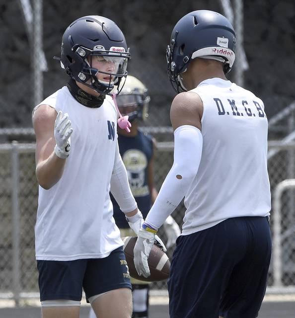 The Birdie takes his shot at predicting records for Westmoreland County teams