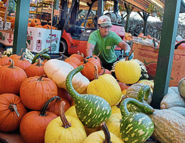 4130075_web1_her-lo-pumpkinFeature-100418