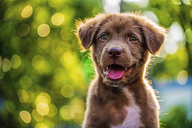 Slide 
													
													1