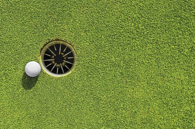 Young Gateway golfers look to make impact this season