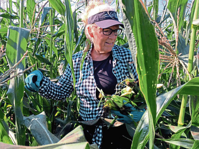4173112_web1_gtr-Corn4Bank1-082621