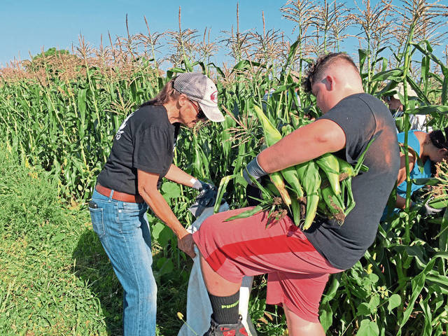 4173112_web1_gtr-Corn4Bank6-082621
