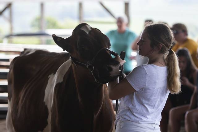 4177976_web1_gtr-faircows3-082721