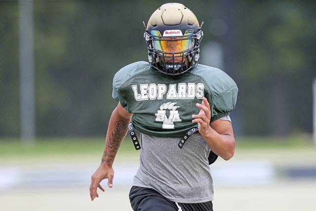 Birdie hopes he picks Westmoreland County games better than he climbs crates
