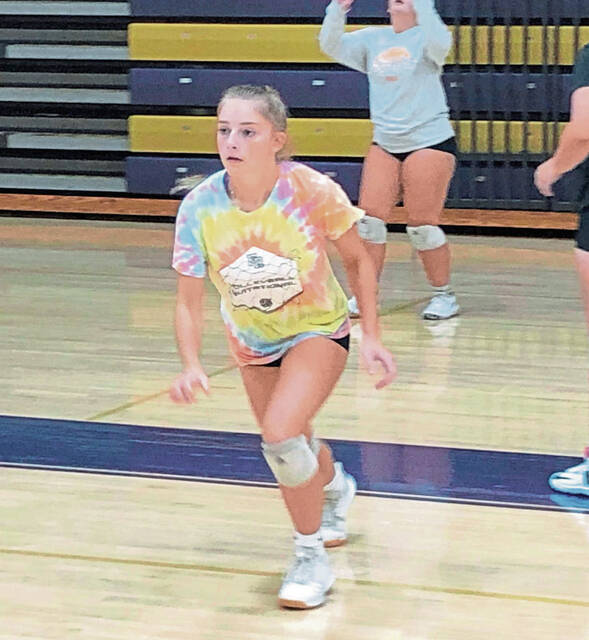 Plum girls volleyball aims to defend section championship
