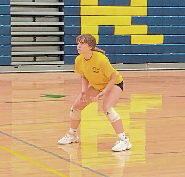 A-K Valley girls volleyball preview: Freeport seeks 17th straight section title