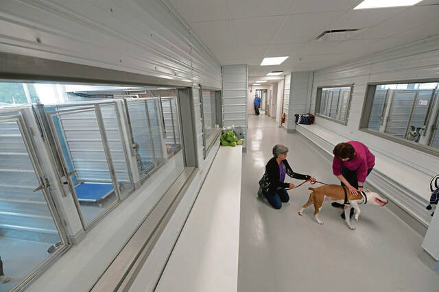 4219638_web1_vnd-AnimalProtectors101-091021
