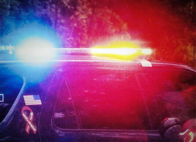 4229761_web1_WEB-police-lights-local-1