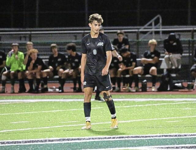 Junior striker brings joy of scoring goals to Pine-Richland boys soccer