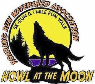 4245306_web1_vnd-moonRace
