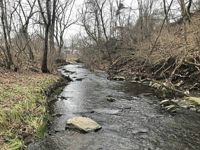 4245348_web1_gtr-Tinker-s-Run-tributary-at-Irwin-Park
