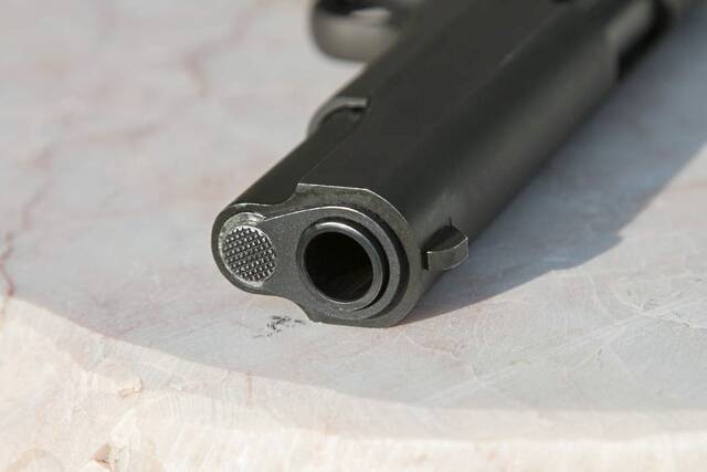 4258382_web1_WEB-gun