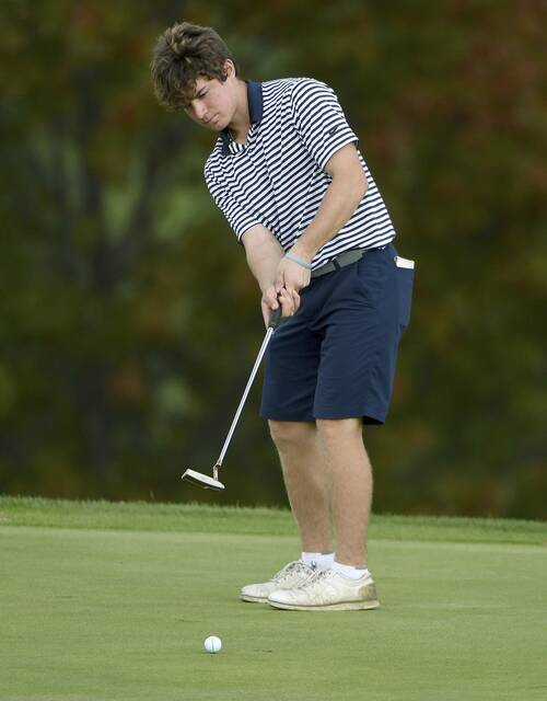 Franklin Regional notebook: Panthers golfers advance to semifinals