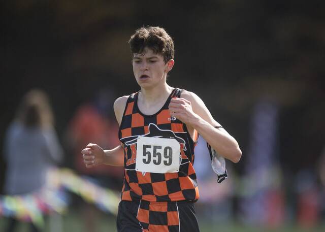 Latrobe cross country teams off to strong starts, eye big-meet success